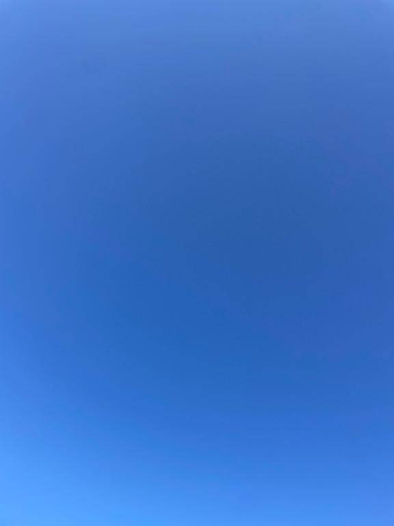 お礼?と出勤報告だよ???