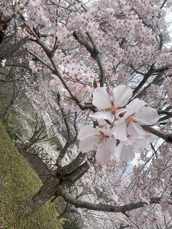 出勤しました??‥?? ?