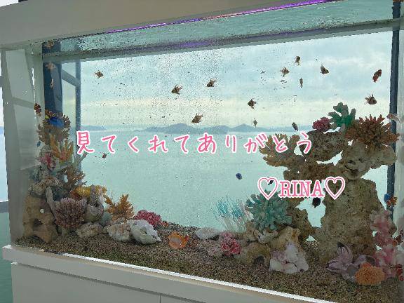 有言実行?