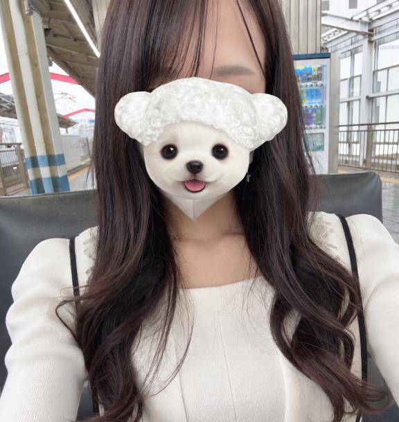 会える日?