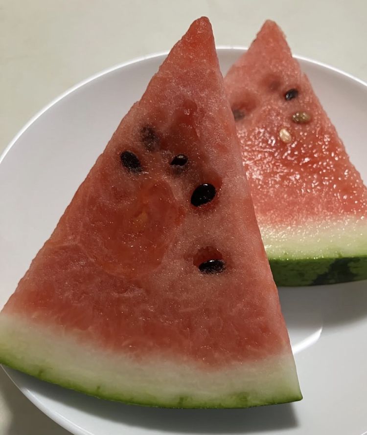 おはようございます🍉