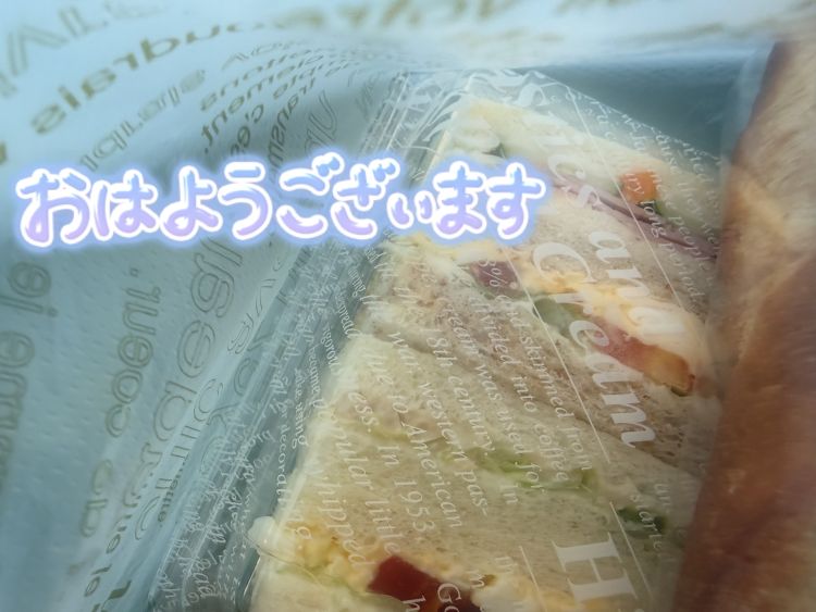 おはようございます☀️