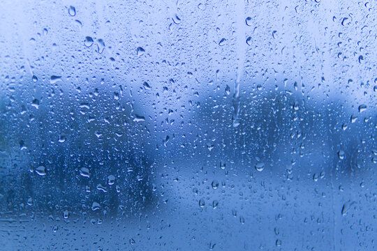 １日お疲れ様