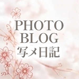 写メ日記