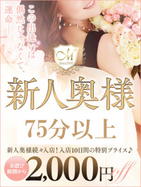 山本 真帆（新人）