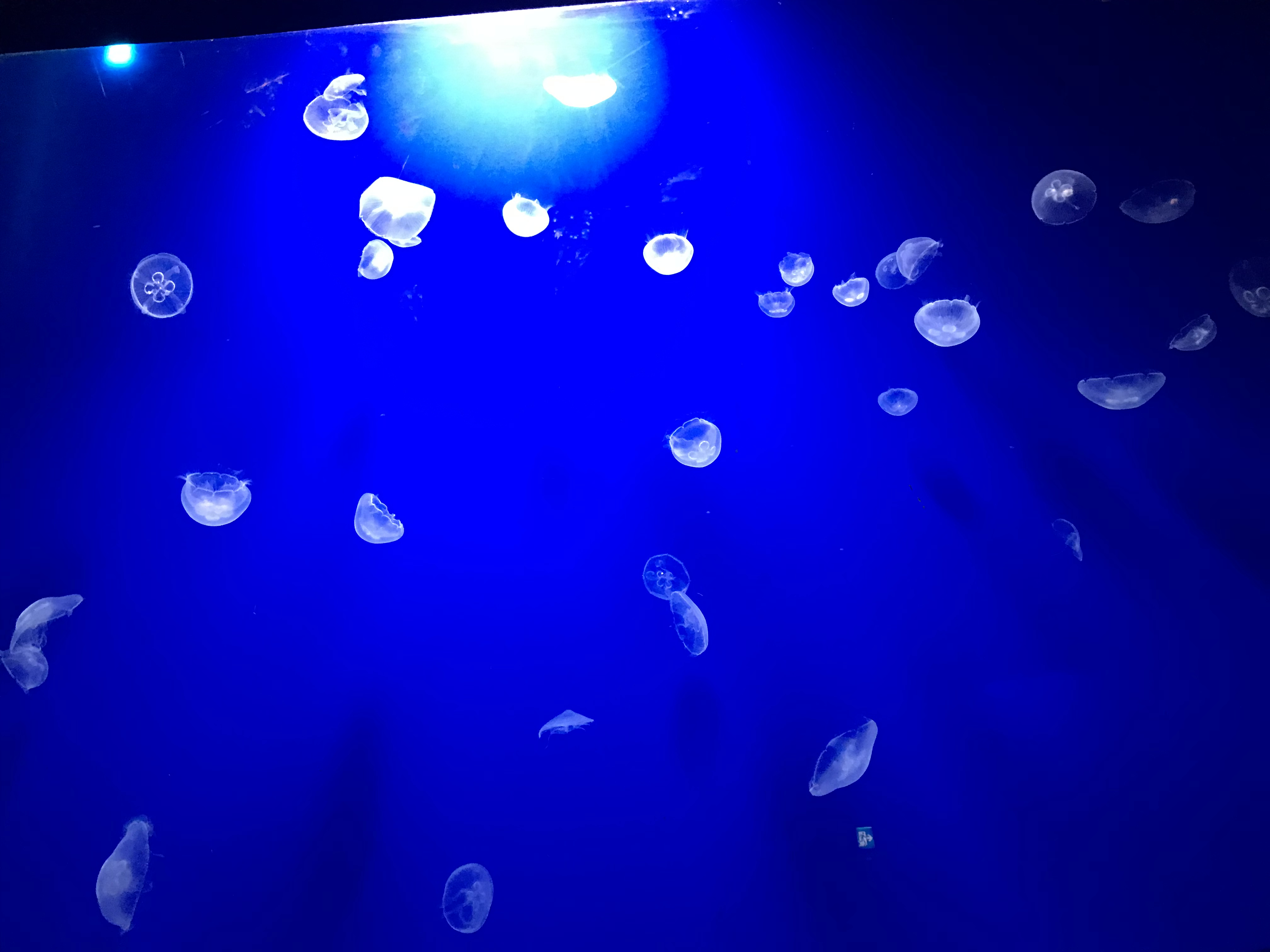 こんばんわ✨
