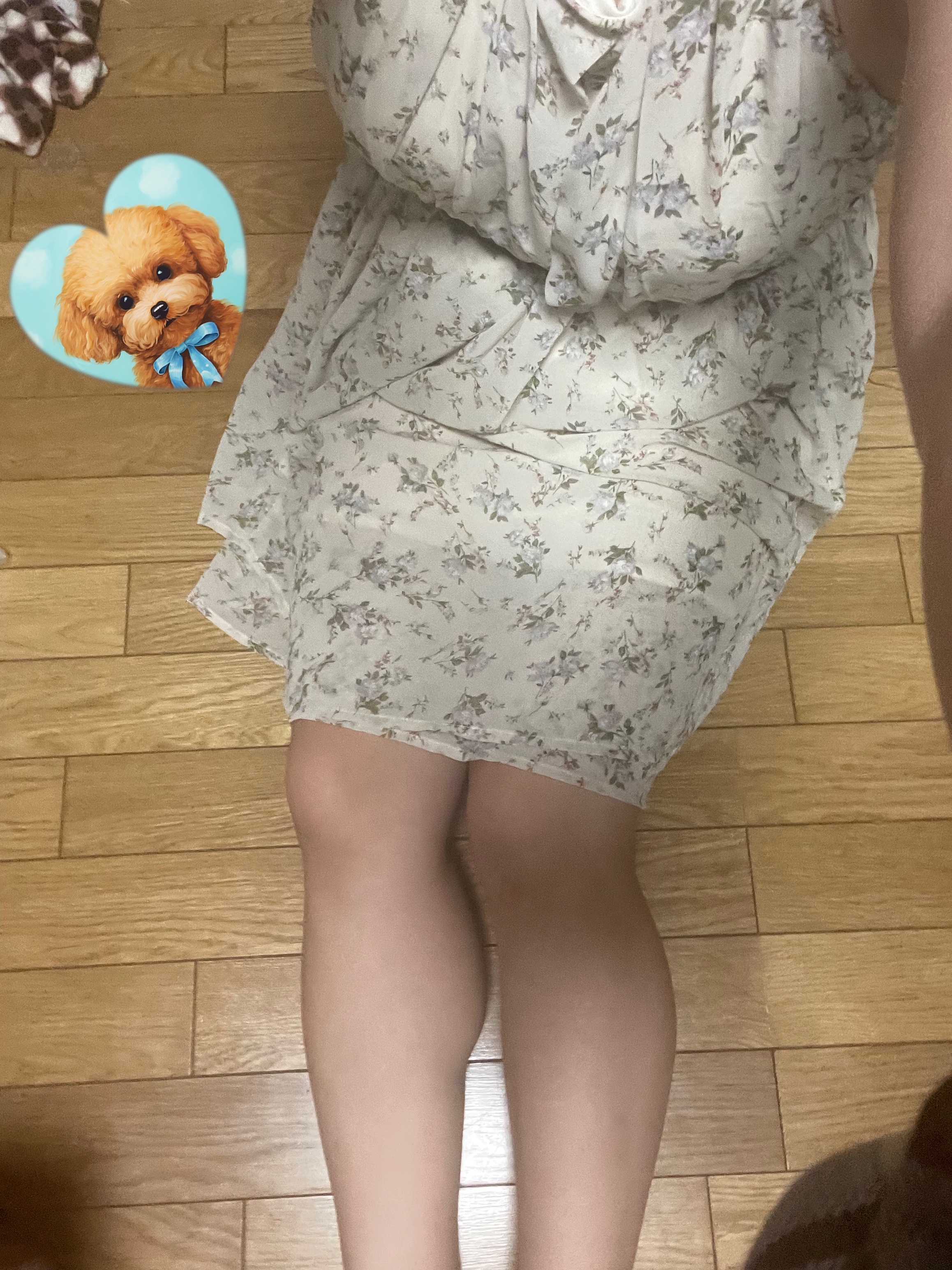 こんにちは☀️