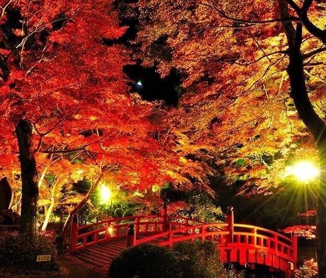 受け付け終了💞