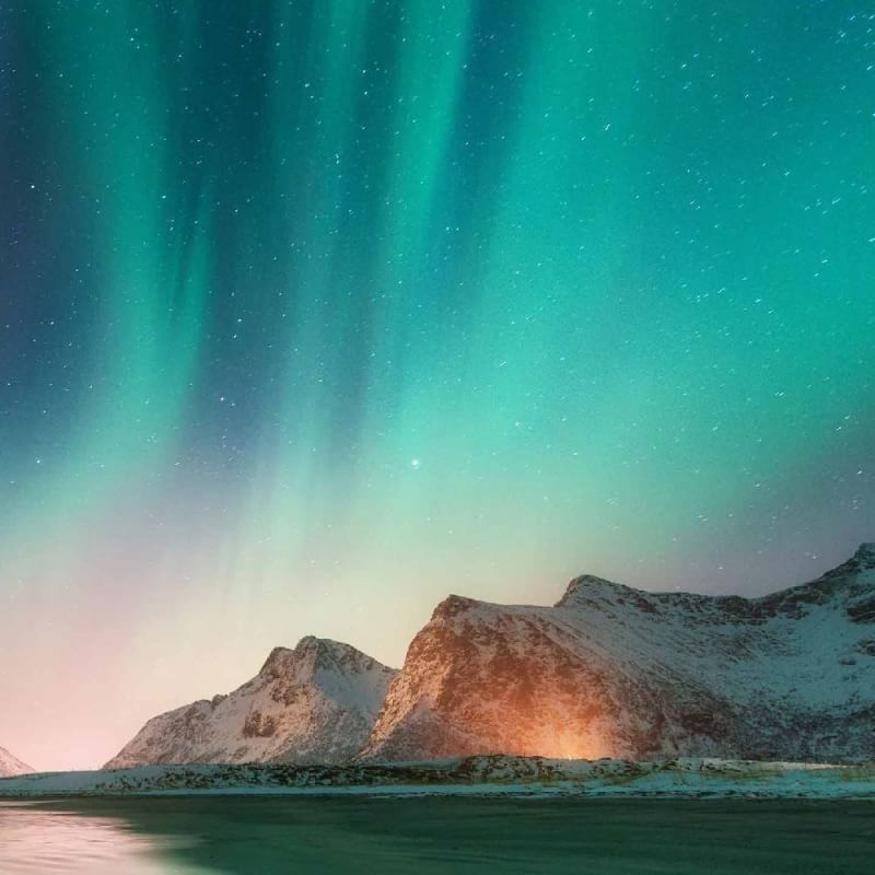 受け付け終了💫