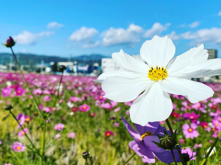 キャッスル405様