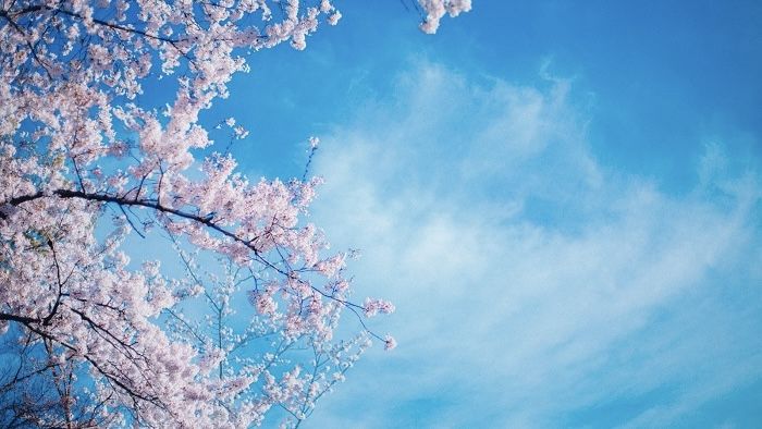 自宅510のお客様へ