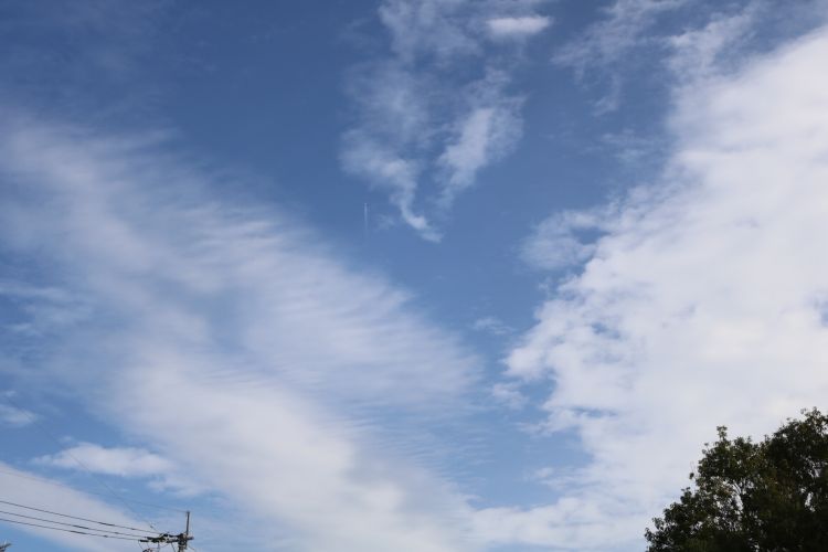 お久しぶりです。
