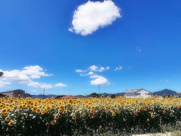 暑い夏???