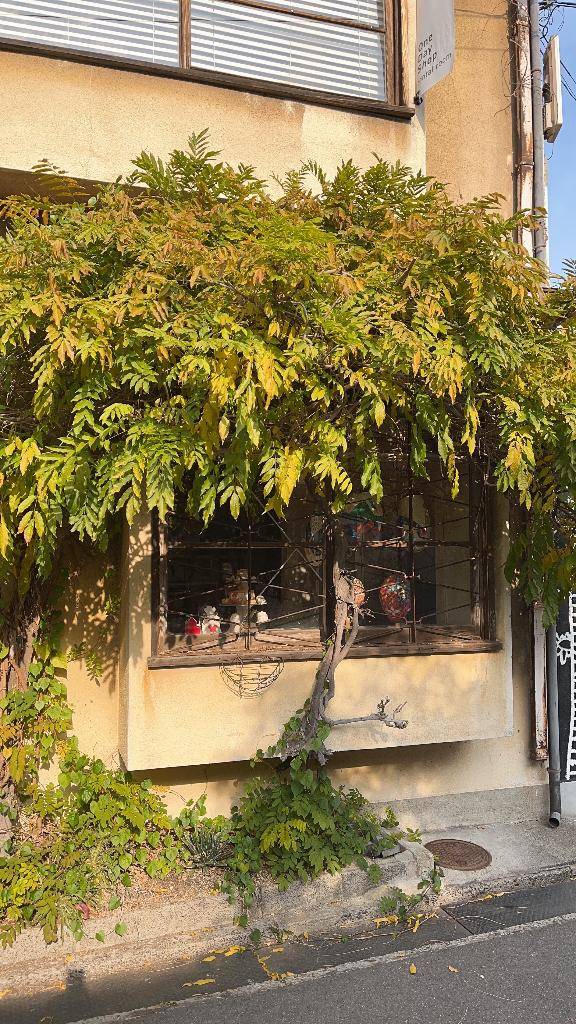 本日もよろしくお願い致します?