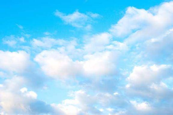 217 ぶー?さん?お礼?