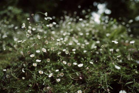 110 ?テレさん?お礼?