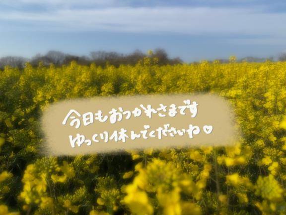 しいな（ミセス愛。）