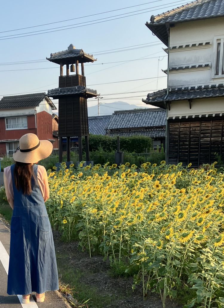 夏も終わり。。。