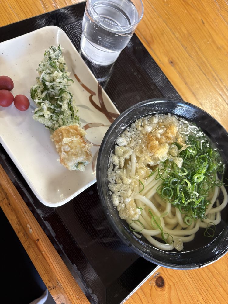 おはよう御座います‼️