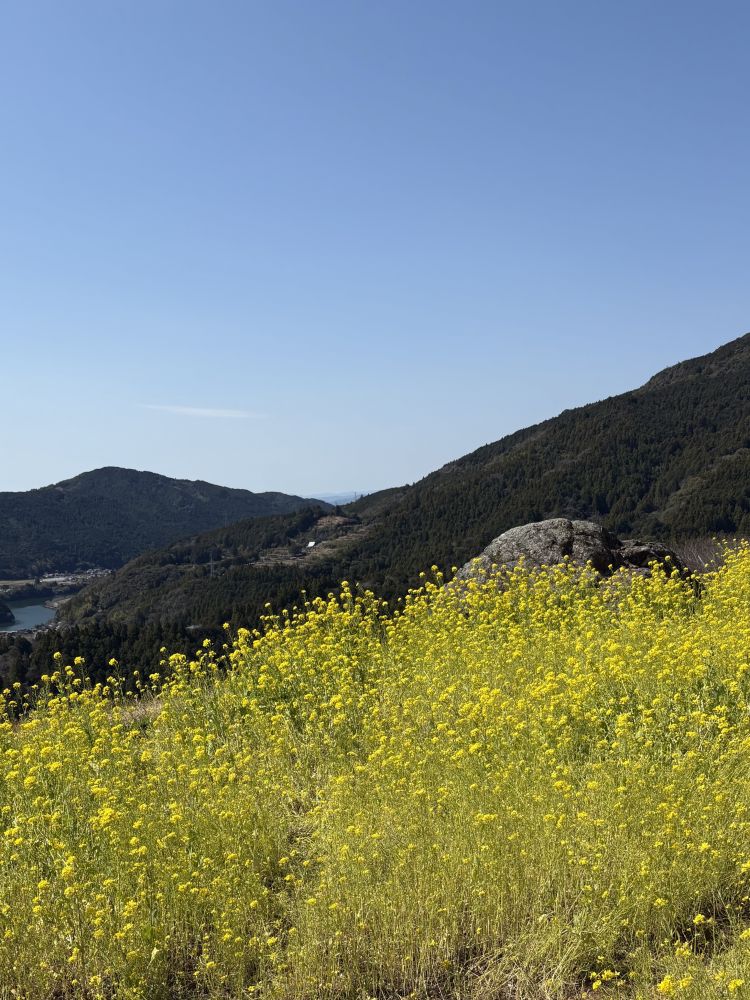 おはようございます❣️