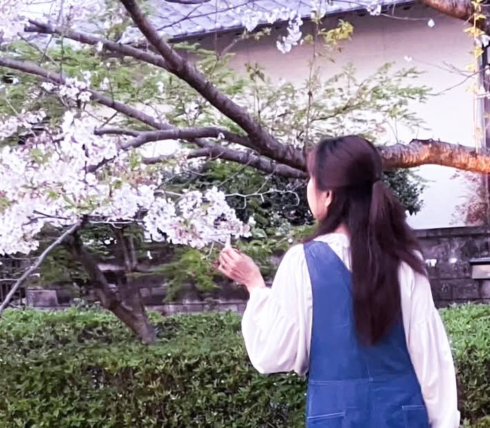 準備開始🌸