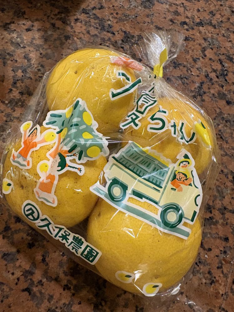 小夏ちゃん🍊