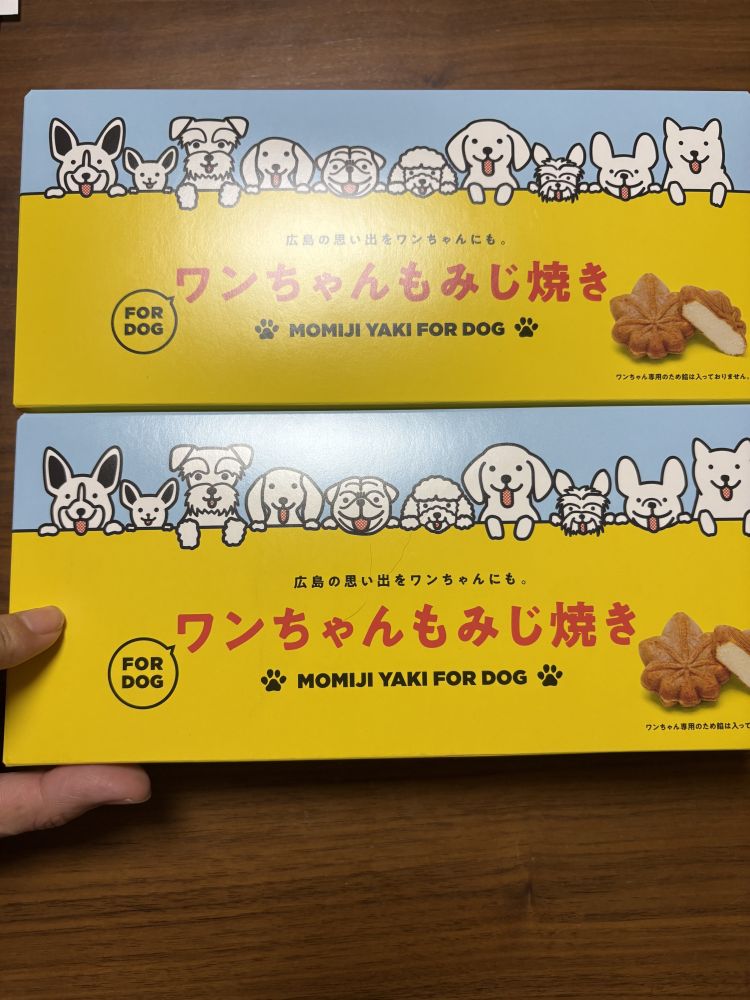 おはようございます🩵