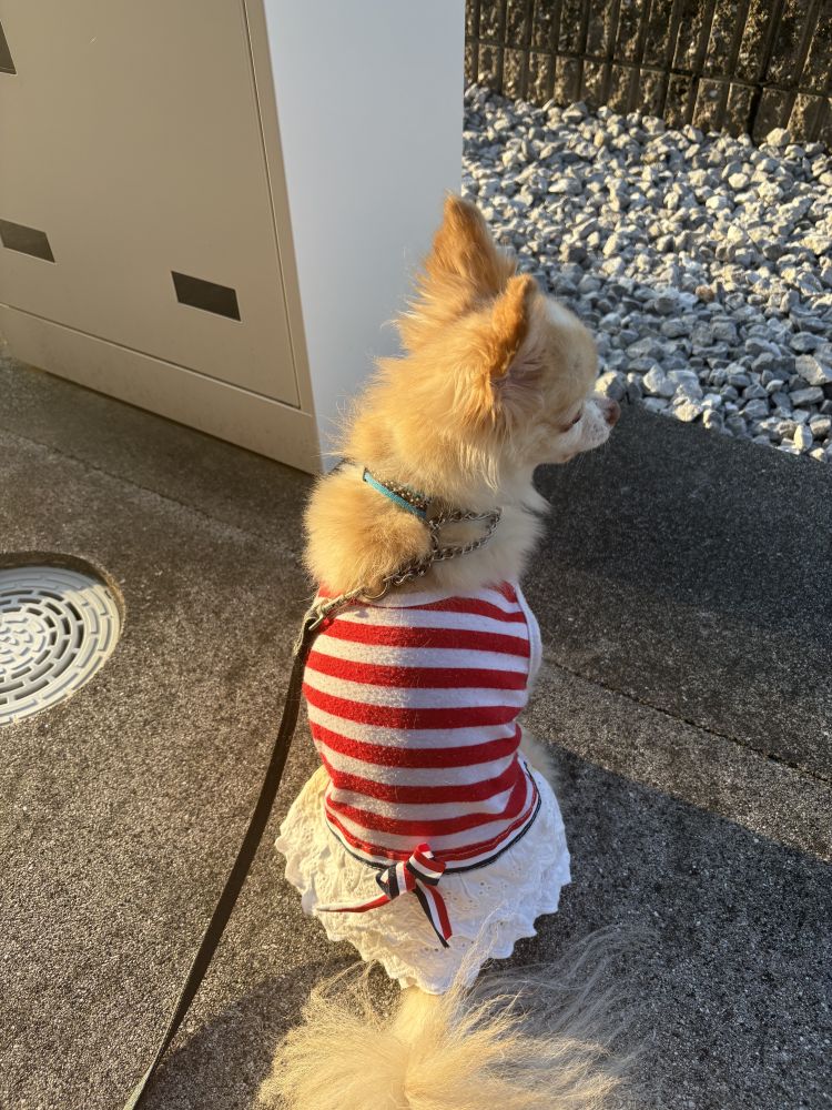 気持ちのいい朝🥰