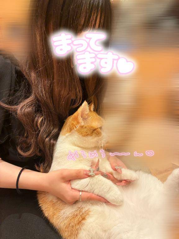 来月おる日?