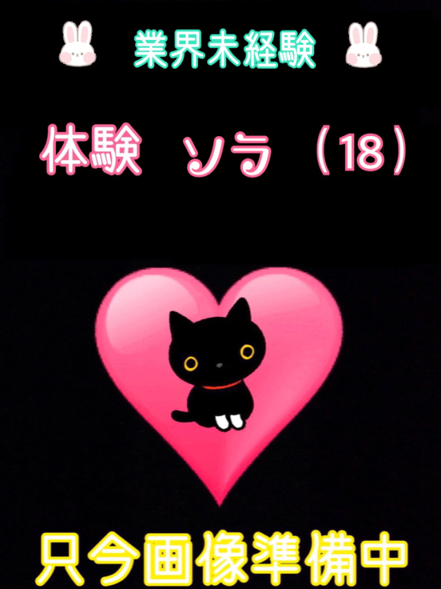 体験ソラ（業界未経験）