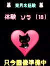 体験ソラ（業界未経験）