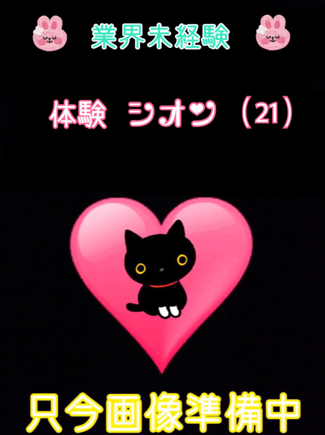 体験シオン（業界未経験）