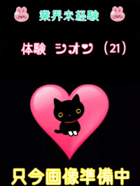 体験シオン（業界未経験）