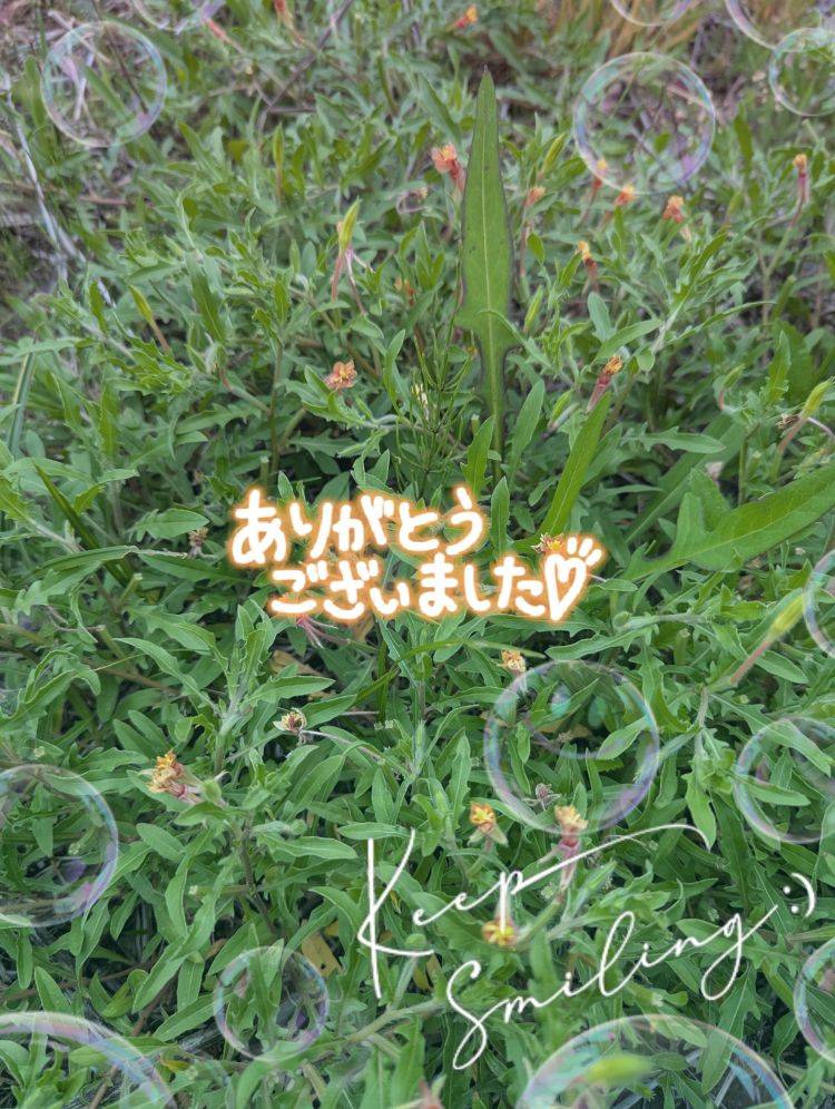 ゆうこ