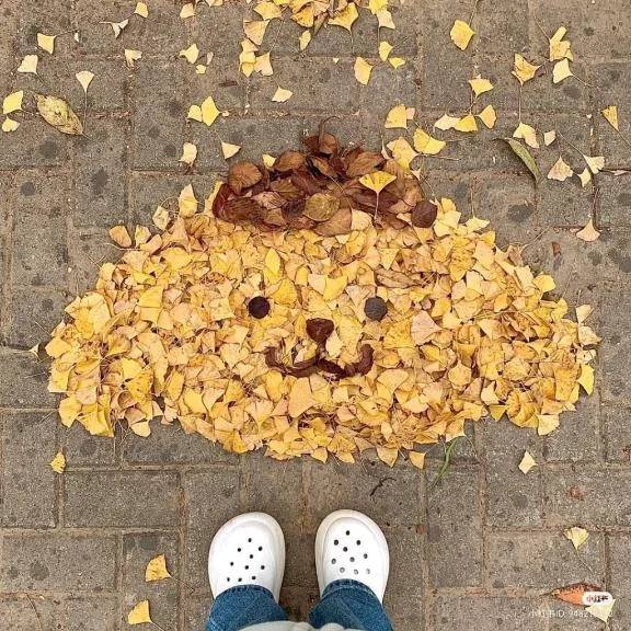 寒いね៸៸o̴̶̷̥᷅  ̫ o̴̶̷᷄ᐡ