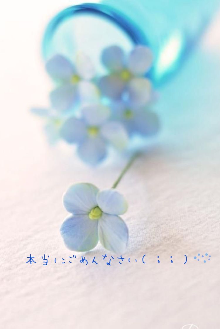 ごめんなさい😢