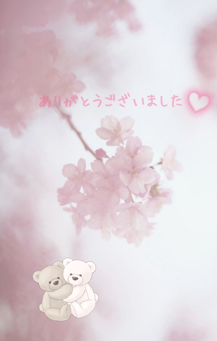 昨日のお礼🌸