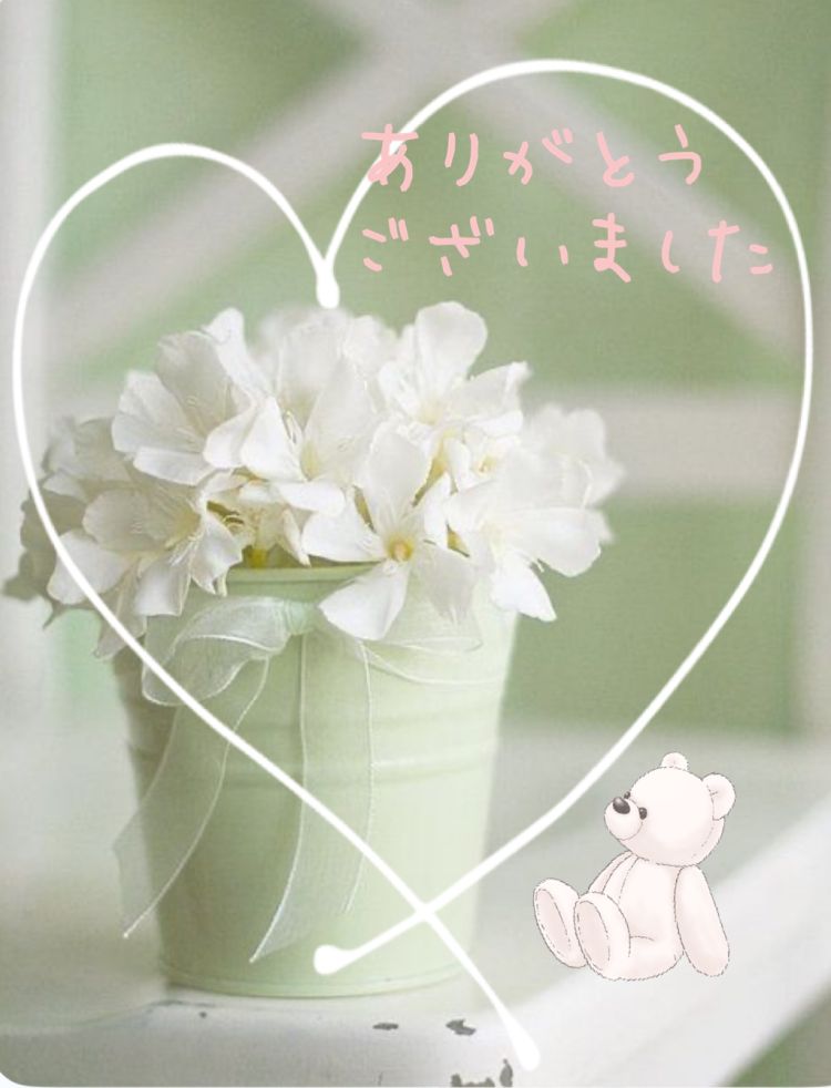 昨日のお礼🌼
