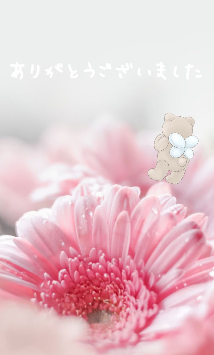昨日のお礼🌼