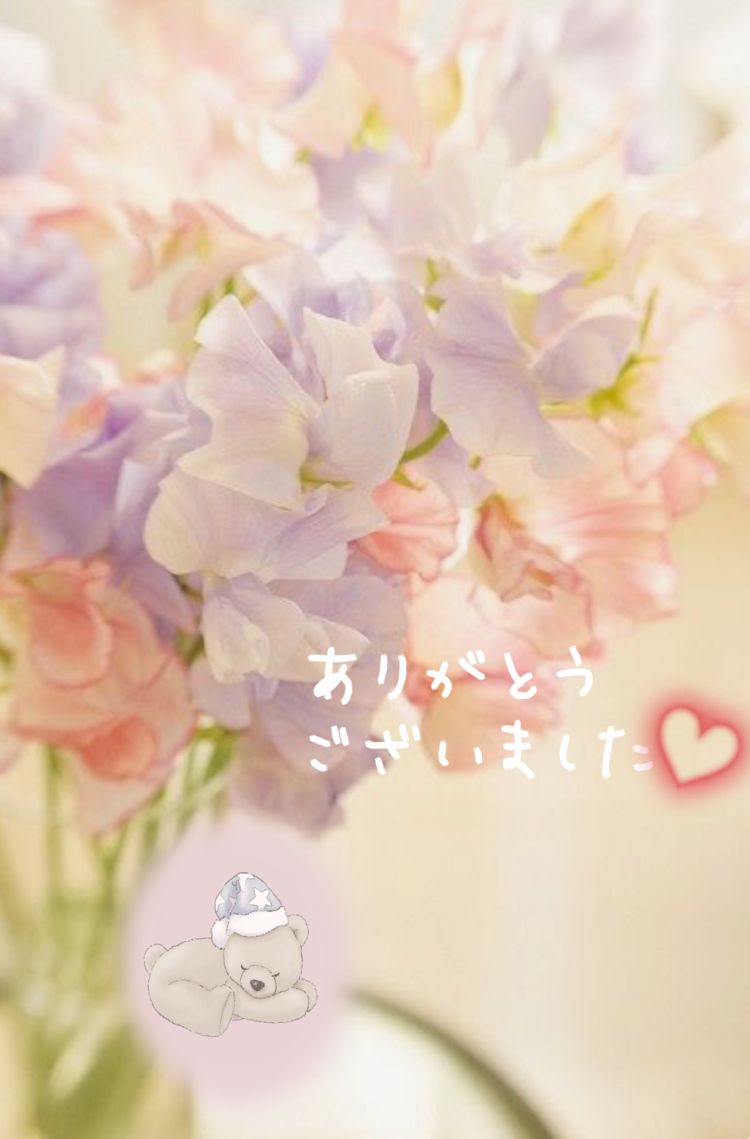 今日のお礼🌸