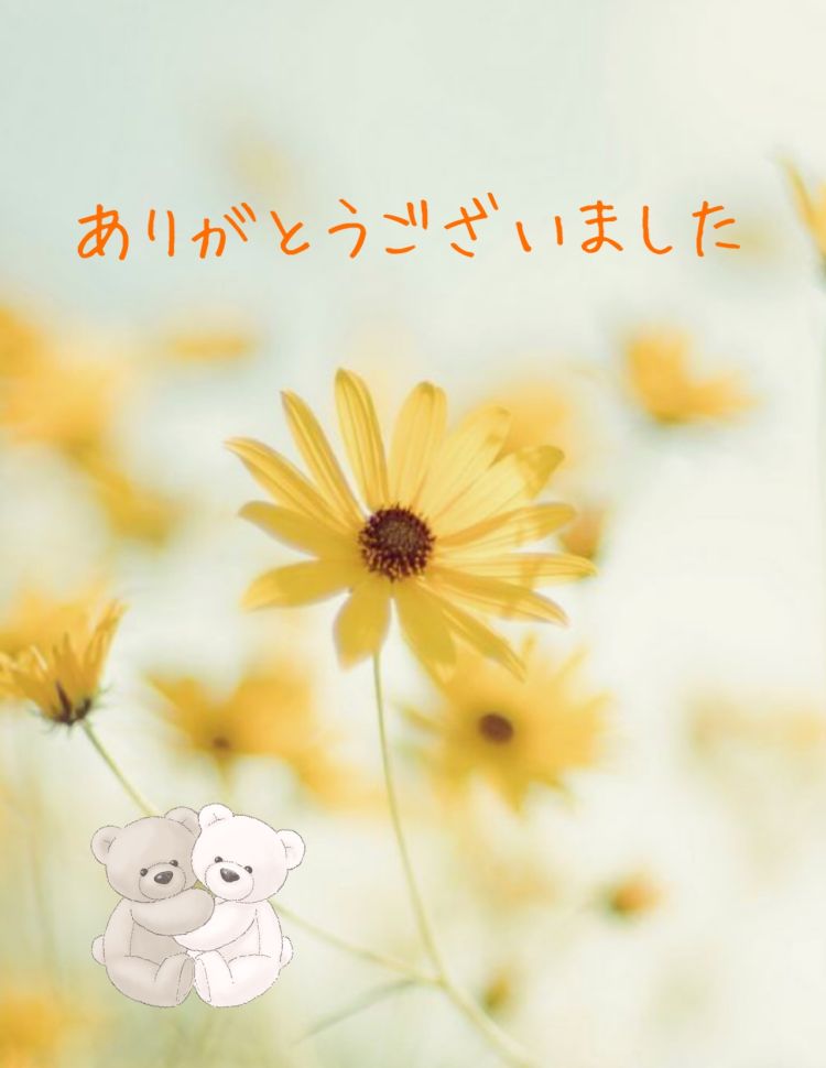 昨日のお礼🌸