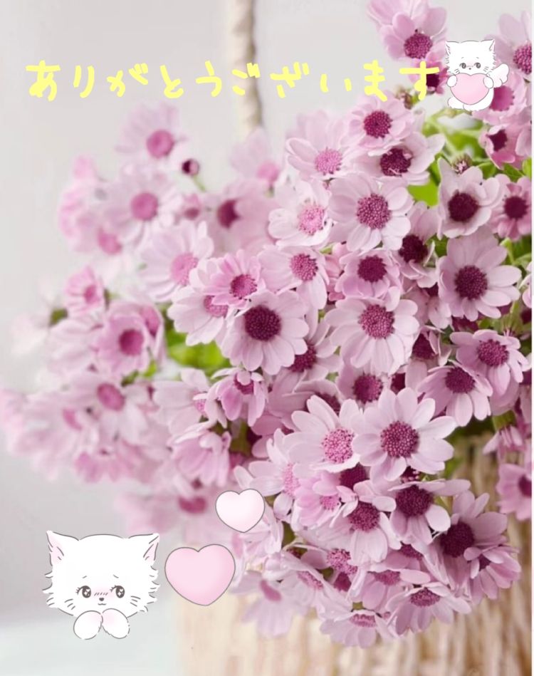 今日のお礼♡