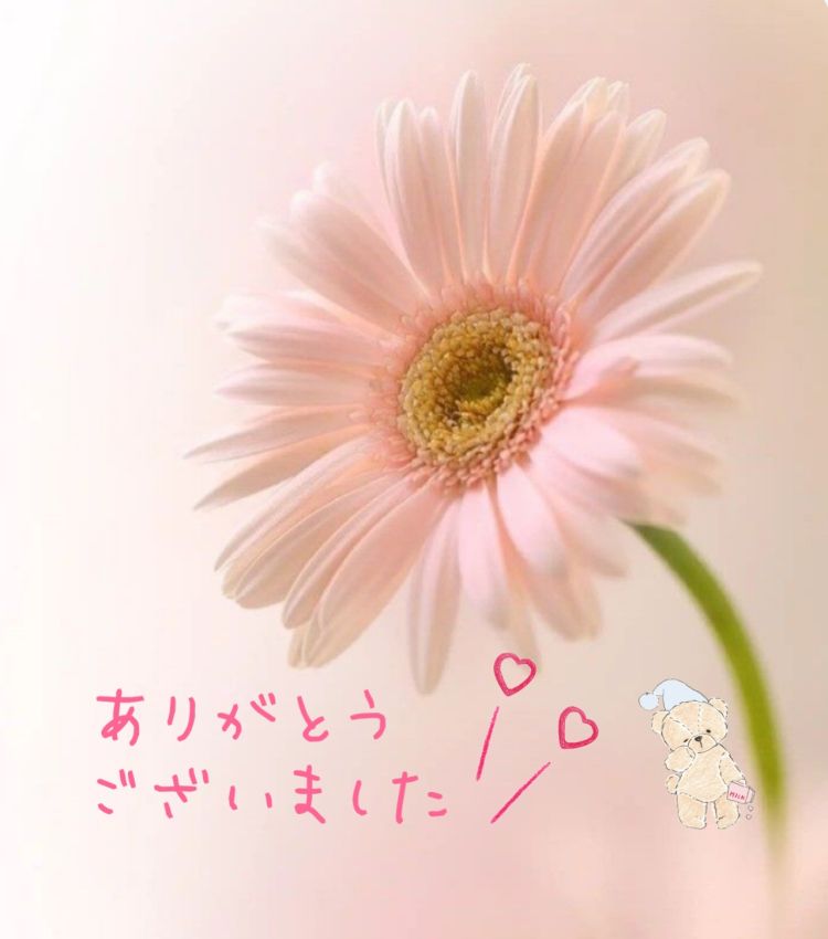 あいな☆業界初☆店長おススメ