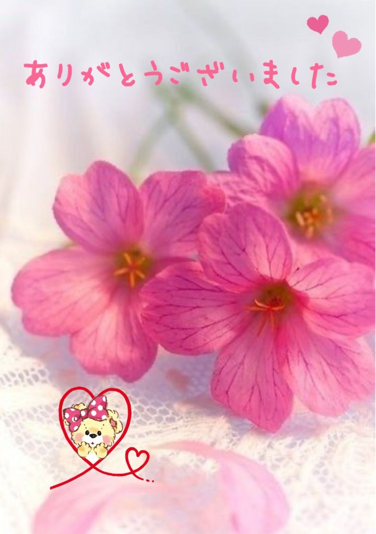 昨日のお礼💝
