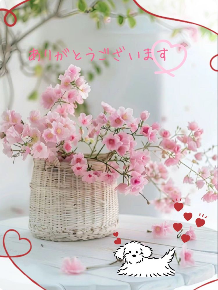 昨日のお礼💝