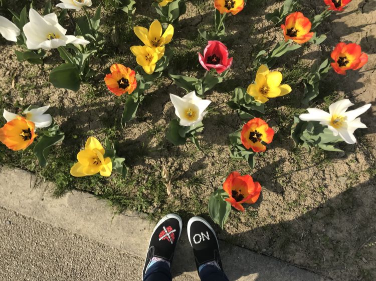 いい天気ですね☀️