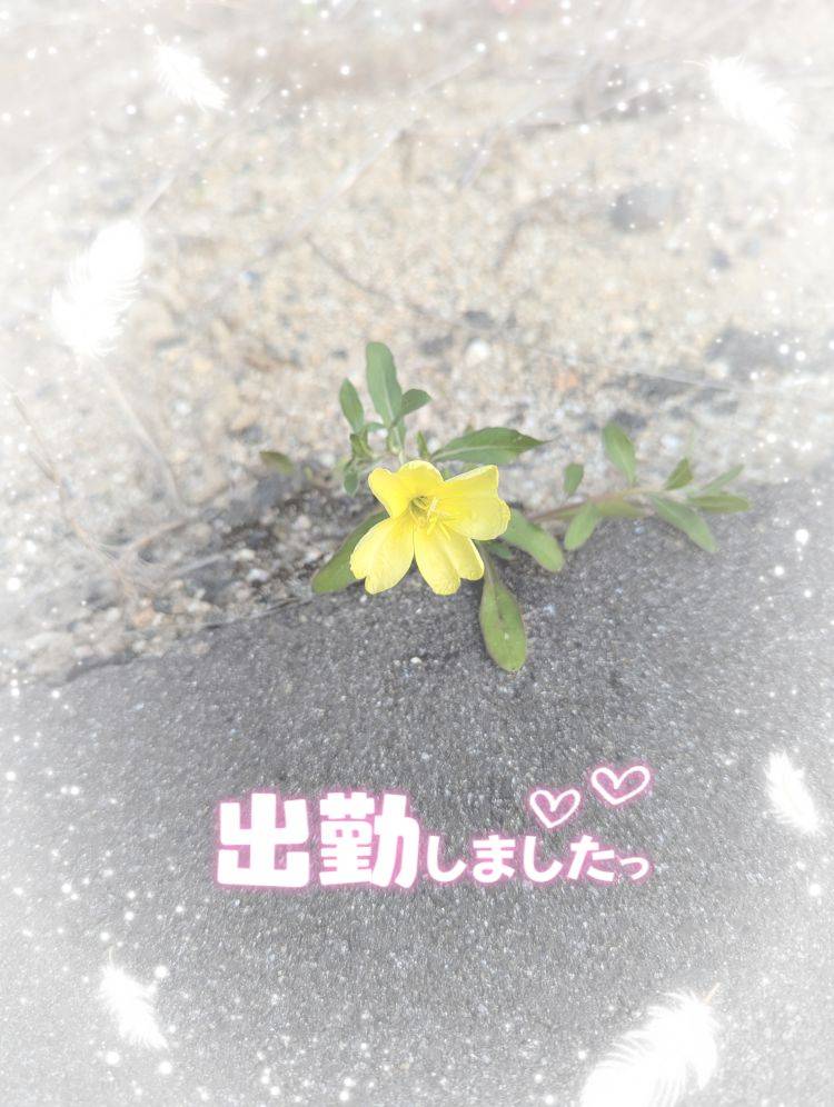 ゆうこ★美魔女★品のある女性が豹変！
