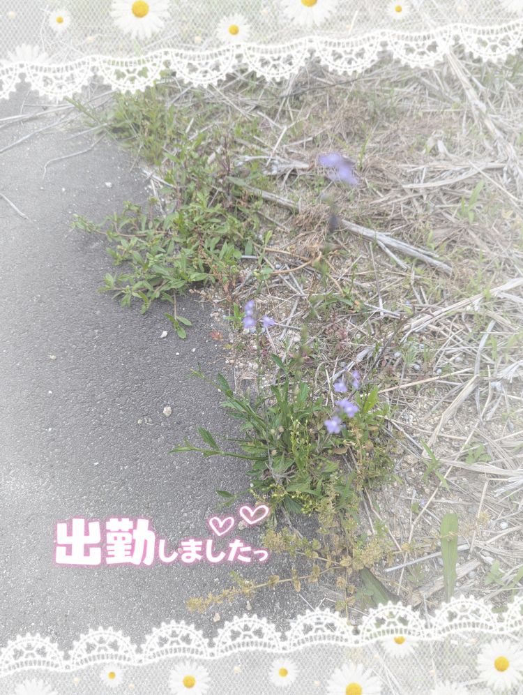 ゆうこ★美魔女★品のある女性が豹変!