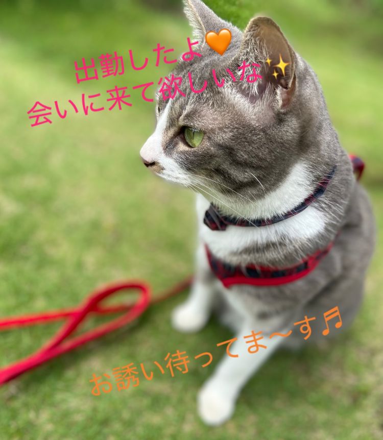 3日目出勤しました！