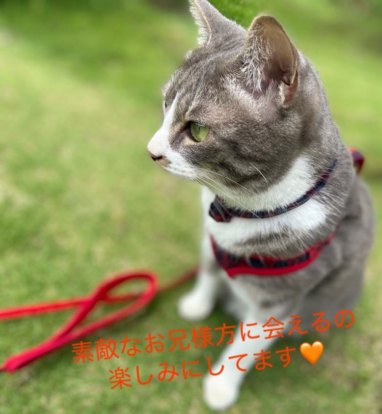 愛媛県 デリヘル 奥さま日記（今治店） 柚花(ゆずか)☆体験入店